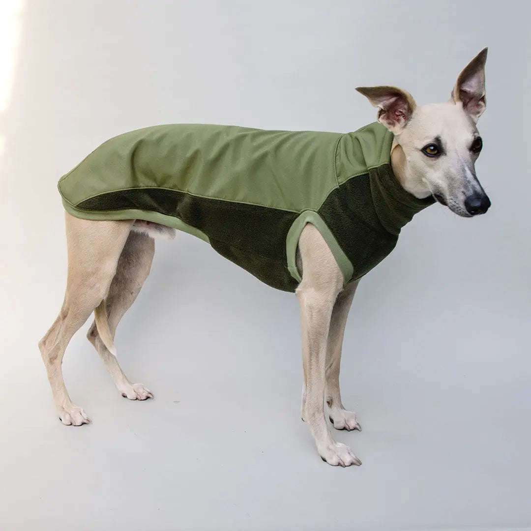 dog gear softshell top Softshell dog sweater "Smart" - olive