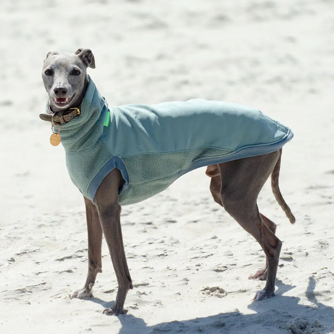 Softshell Hundepullover "Smart" - salbei 4legs.de