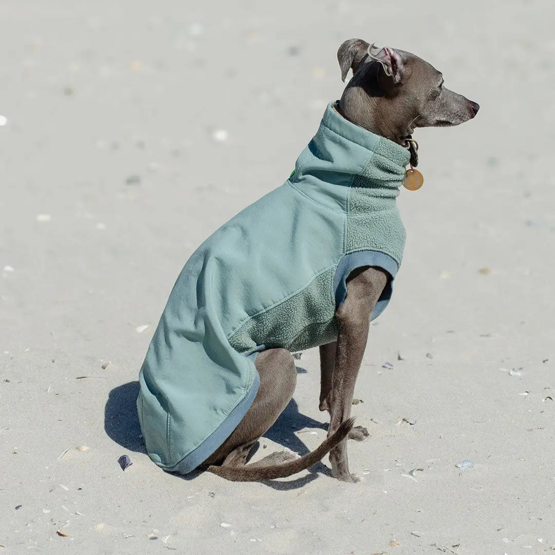 Softshell Hundepullover "Smart" - salbei 4legs.de