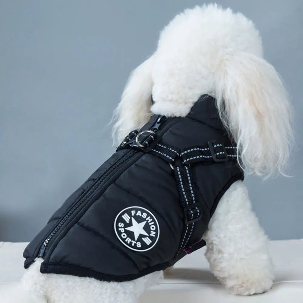 Sportswear Jacke für Hunde - schwarz 4legs.de