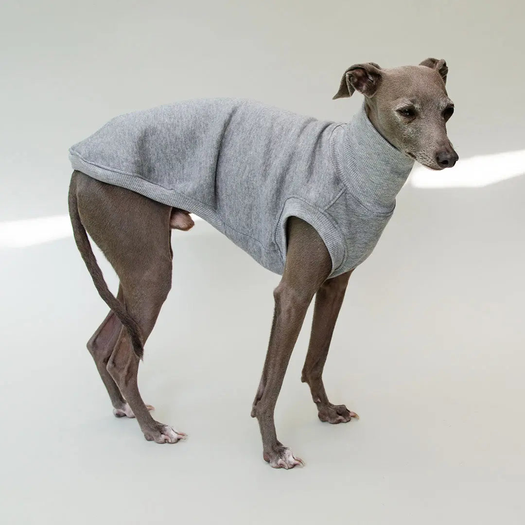 Sweatshirt für Hunde "LOUNGE" - grau 4legs.de