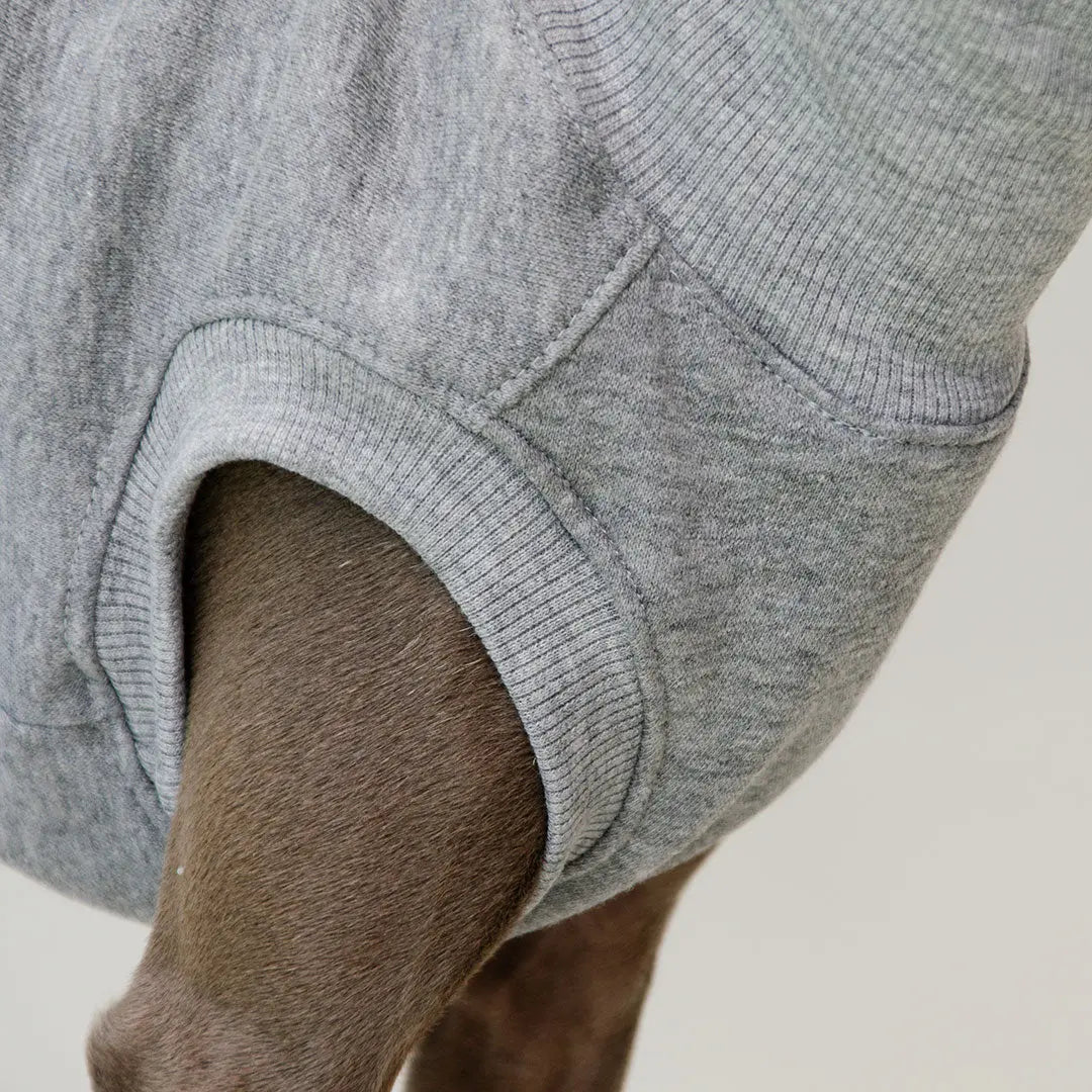 Sweatshirt für Hunde "LOUNGE" - grau 4legs.de