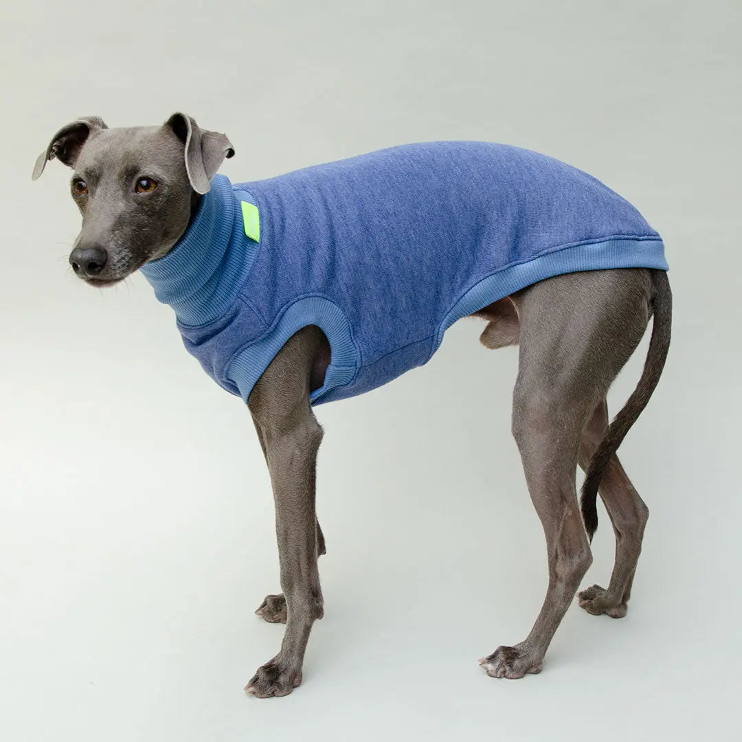 Sweatshirt für Hunde "LOUNGE" - jeansblau 4legs.de