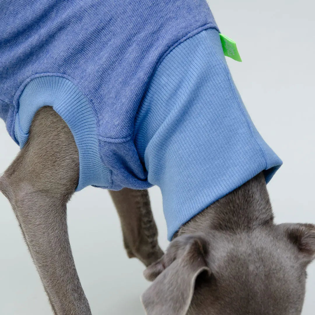 Sweatshirt für Hunde "LOUNGE" - jeansblau 4legs.de