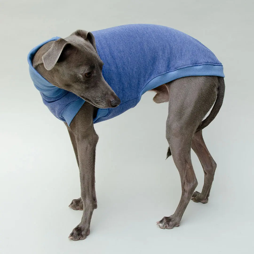 Sweatshirt für Hunde "LOUNGE" - jeansblau 4legs.de