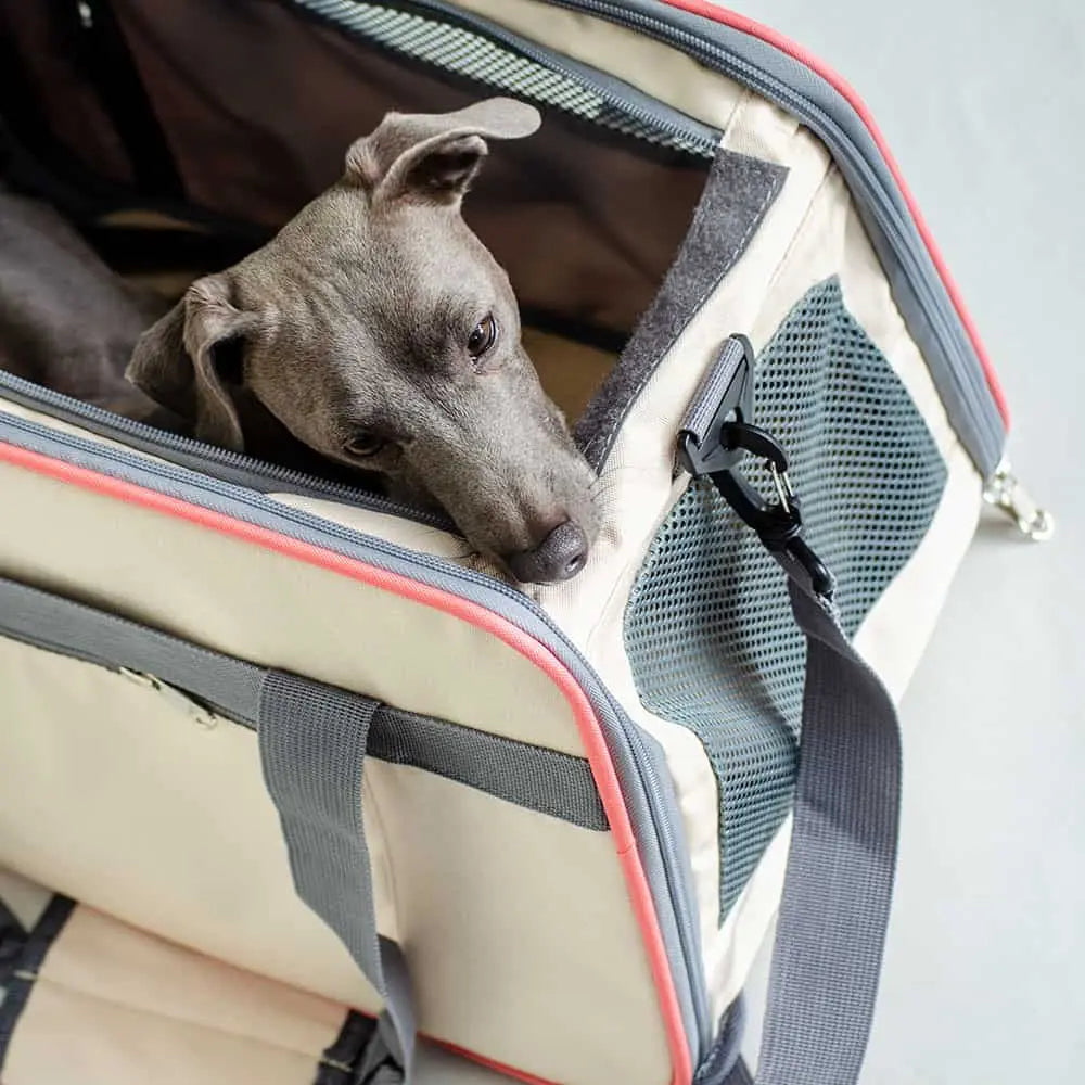 Transporttasche für Hunde "Travelbag business class" 4legs.de