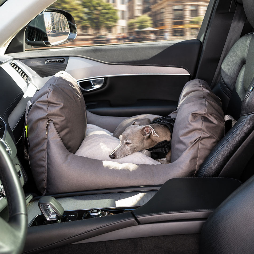 Für Hunde, die mehr Raum