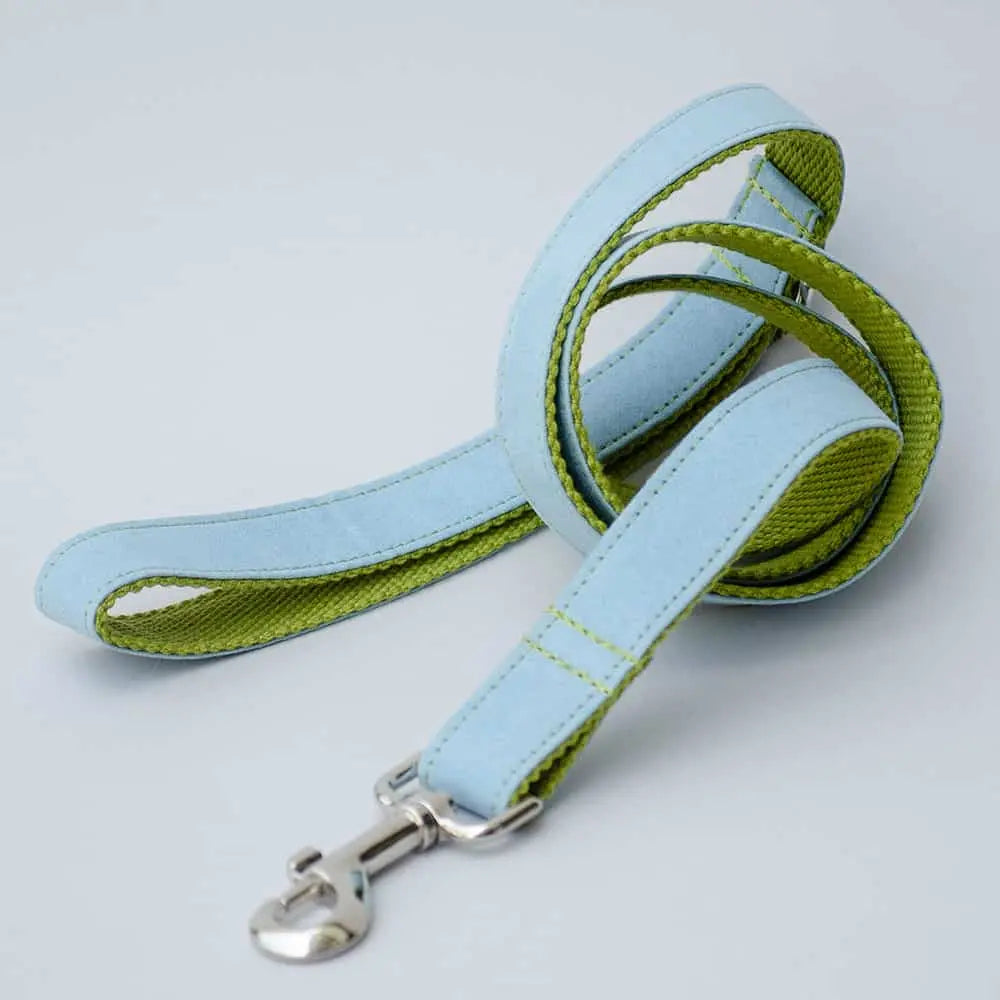 iese Velours Leine für Hunde „Color Up“ in der Farb-Kombination grün und hellblau wirkt besonders pfiffig.