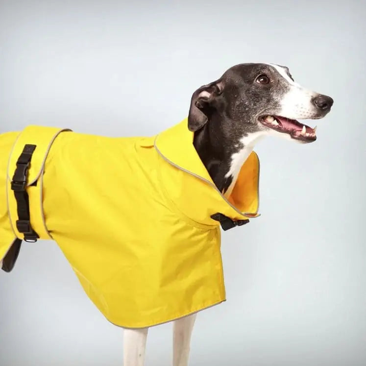 Der warme Hunde-Regenmantel „Zoe“ ist ein Must-have für modische Bekleidung an kalten verregneten Tagen
