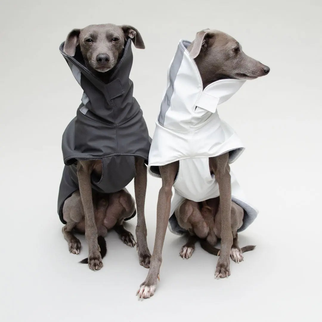 Hunde-Regenmantel "Safe From Rain" - 4legs.deseo score