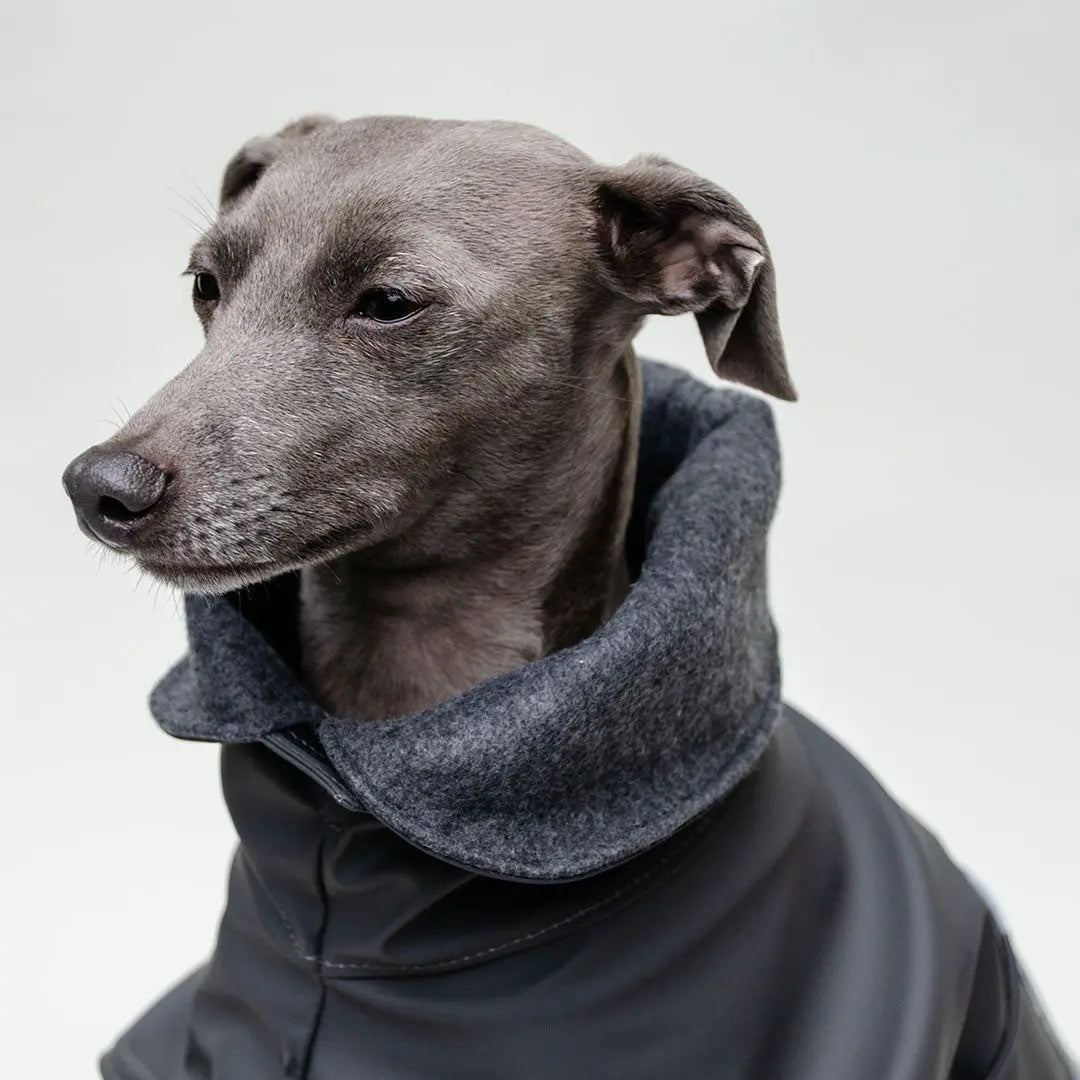 Hunde-Regenmantel "Safe From Rain" - 4legs.deseo score