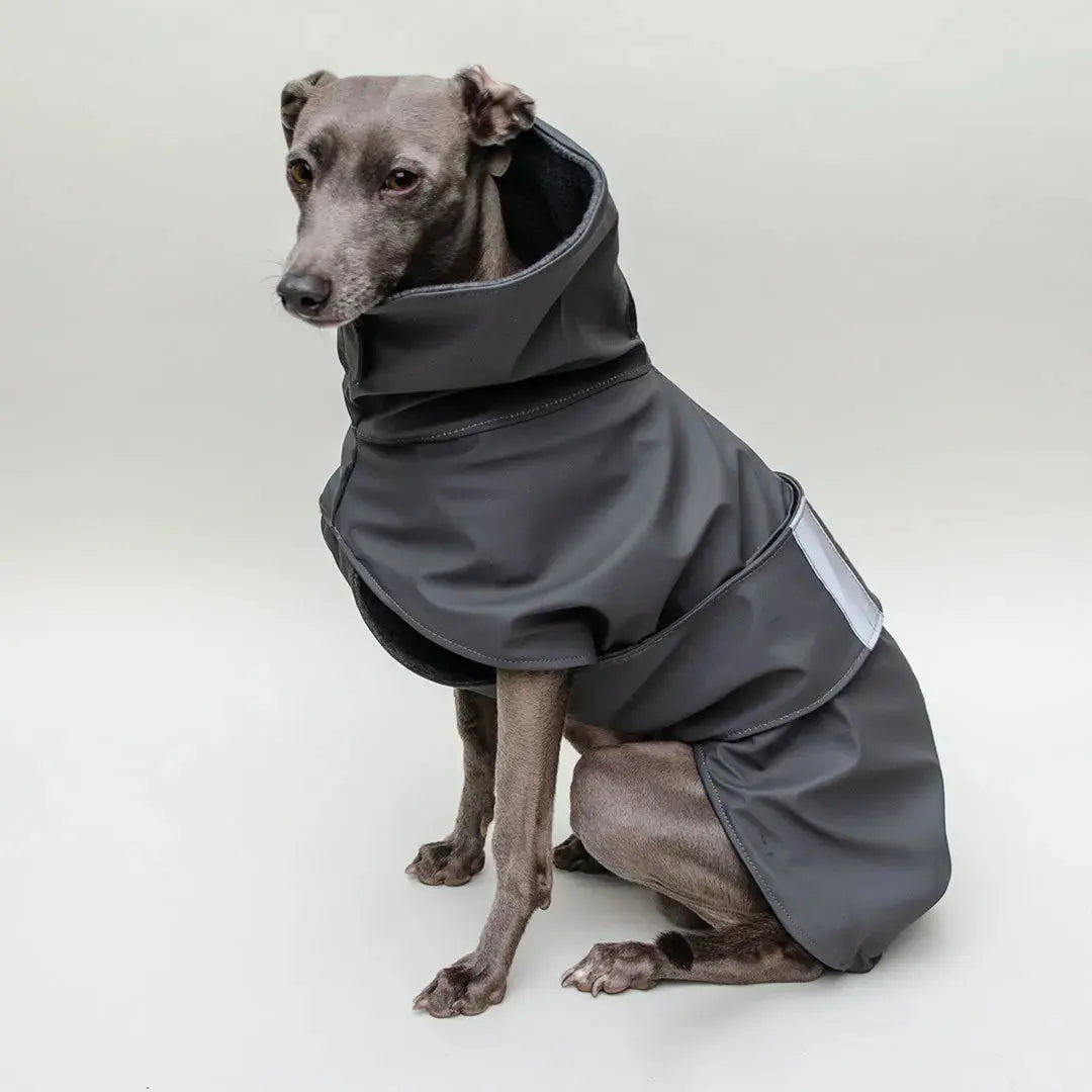 Hunde-Regenmantel "Safe From Rain" 4legs.de