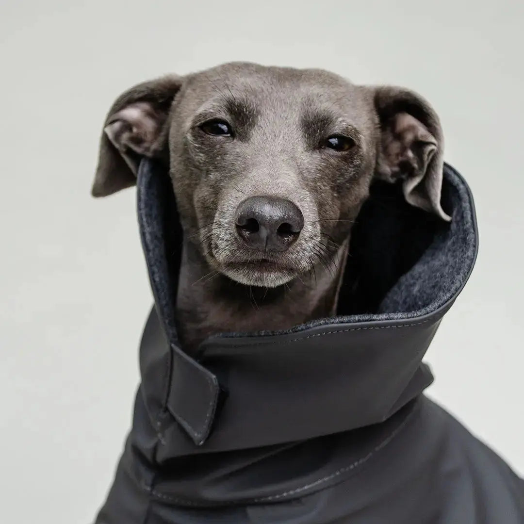 Hunde-Regenmantel "Safe From Rain" 4legs.de