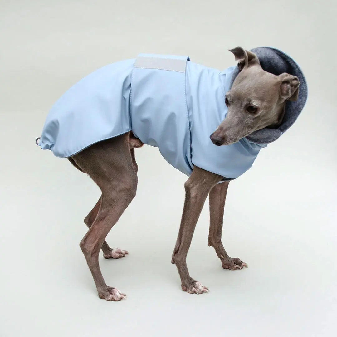 Warmer Hunde-Regenmantel "Safe From Rain" bleu 4legs.de