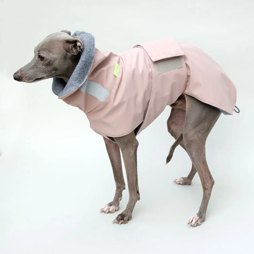 Warmer Hunde-Regenmantel "Safe From Rain" rosé 4legs.de