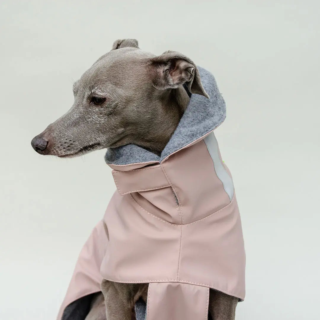 Warmer Hunde-Regenmantel "Safe From Rain" rosé 4legs.de