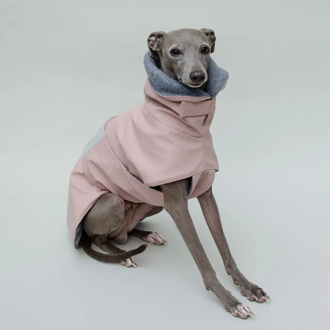 Warmer Hunde-Regenmantel "Safe From Rain" rosé 4legs.de