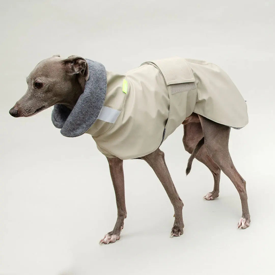 Warmer Hunde-Regenmantel "Safe From Rain" sand 4legs.de