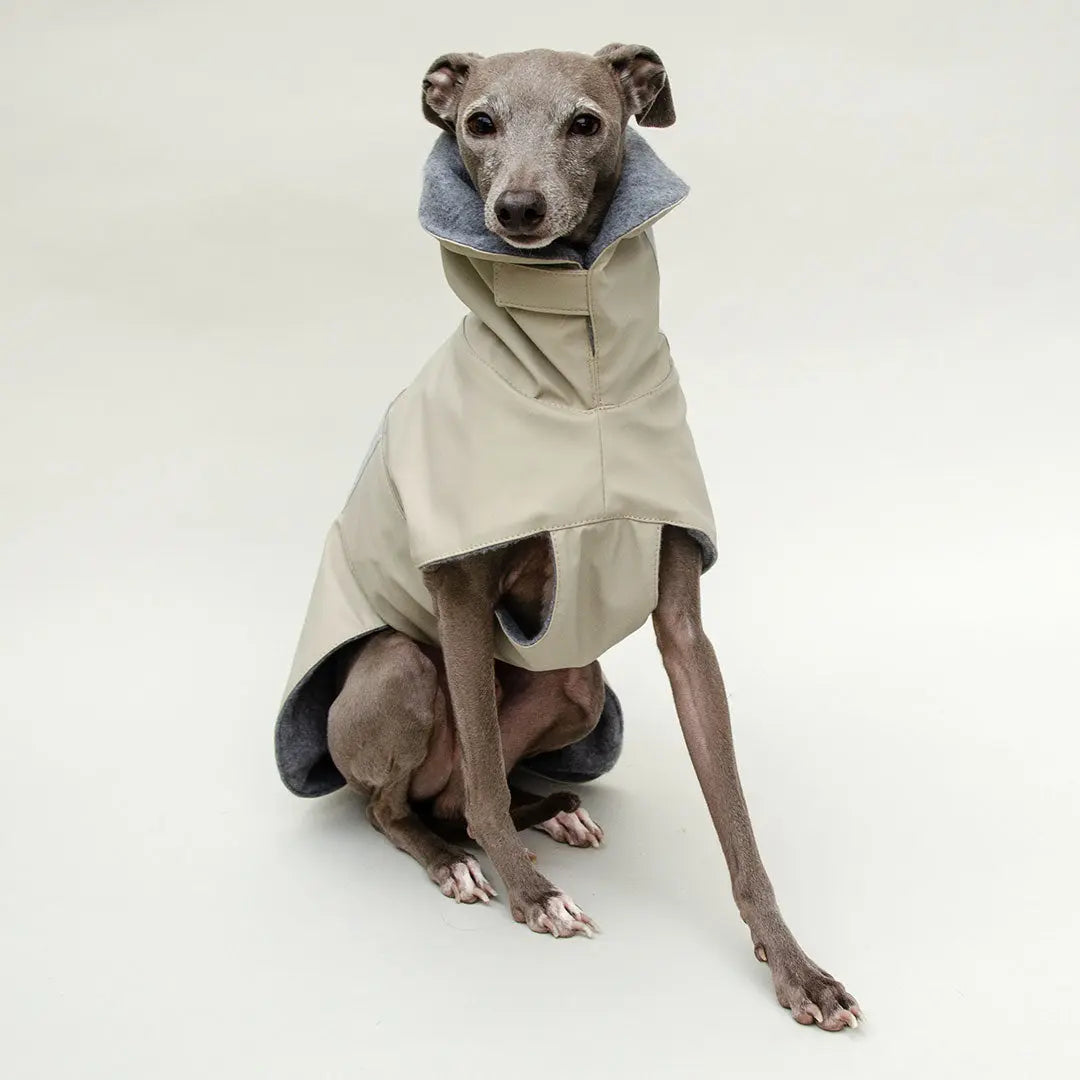 Warmer Hunde-Regenmantel "Safe From Rain" sand 4legs.de