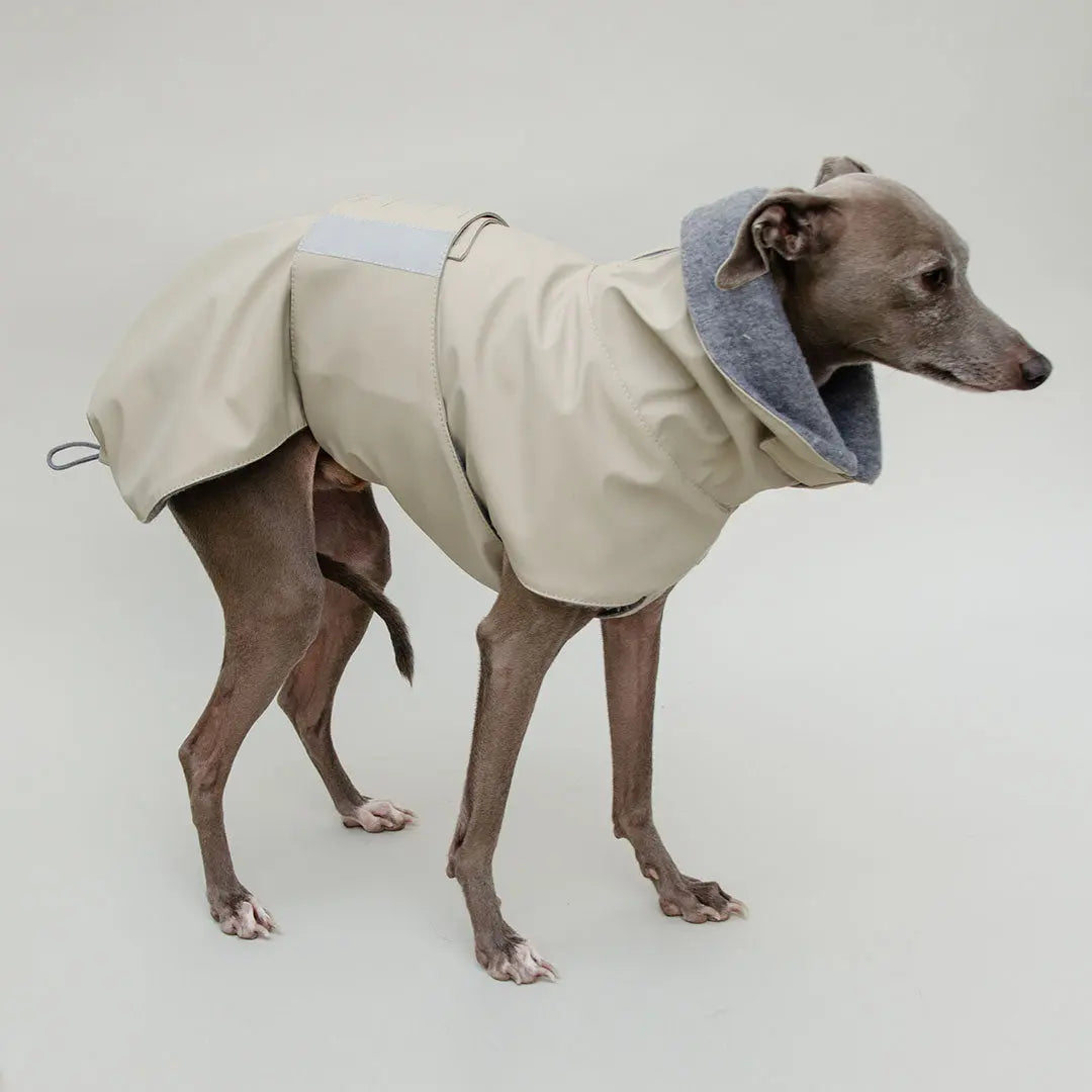 Warmer Hunde-Regenmantel "Safe From Rain" sand 4legs.de