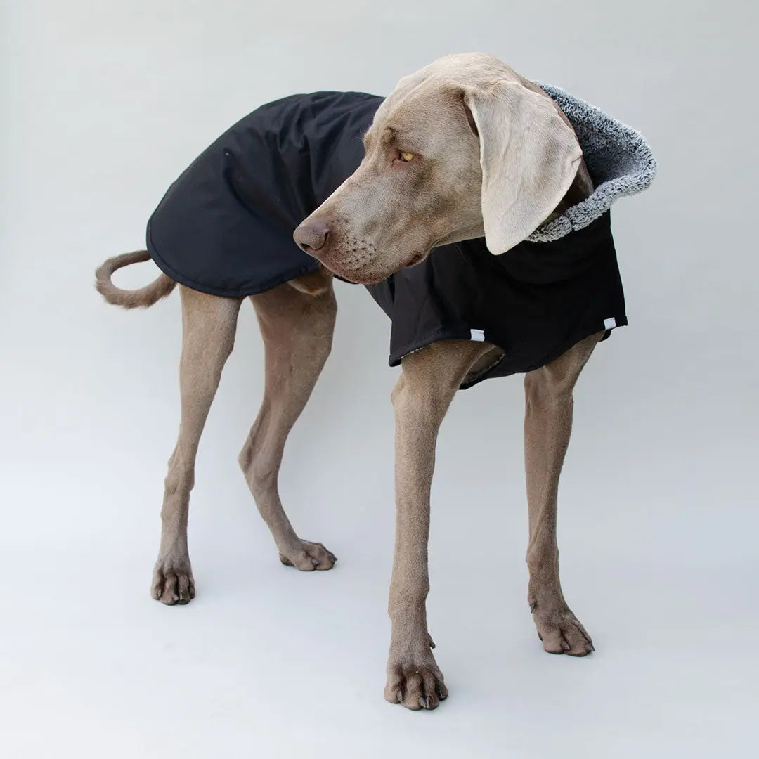 Warmer Hundemantel "HUGO"- SDW 4legs.de