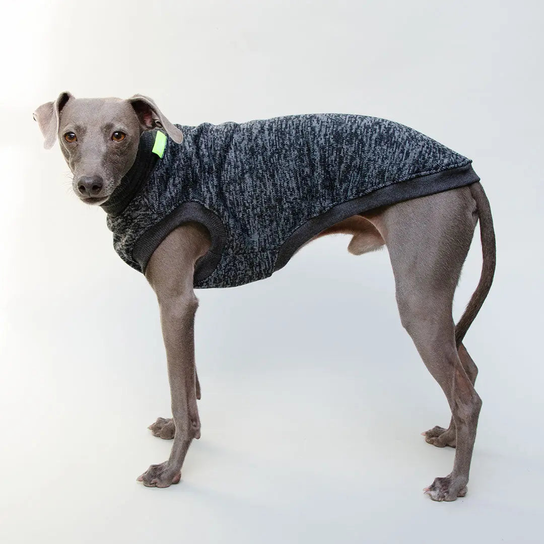 Warmes Hunde-Shirt "Super Dry" - anthrazit 4legs.de