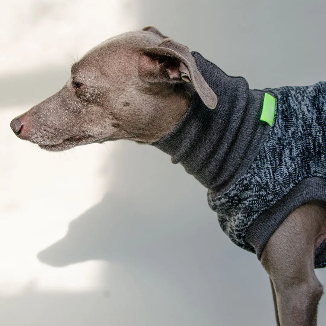 Warmes Hunde-Shirt "Super Dry" - anthrazit 4legs.de