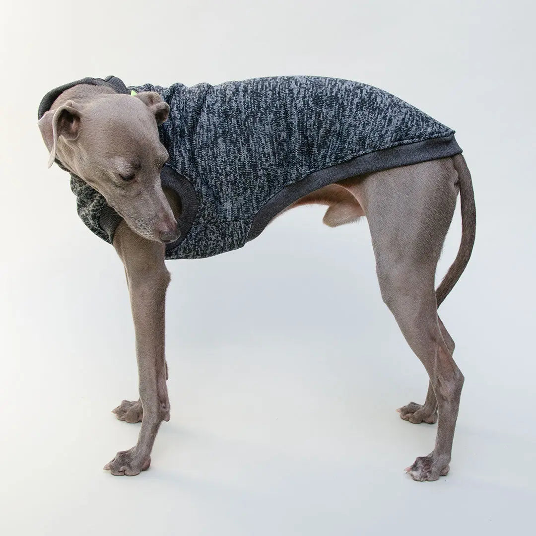 Warmes Hunde-Shirt "Super Dry" - anthrazit 4legs.de