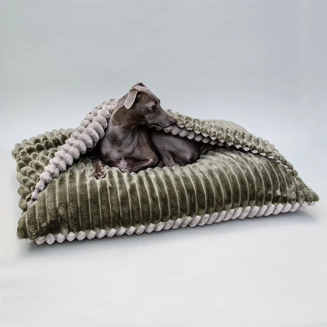 Wendebett "Hideaway" - 2 in 1 - oliv -grau 4legs.de