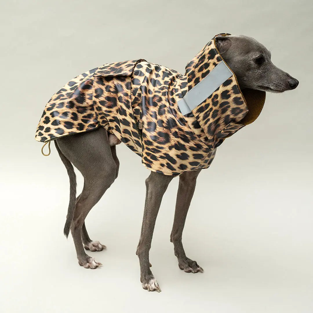 Wetterfester Regenmantel "Safe from Rain" Leo 4legs.de