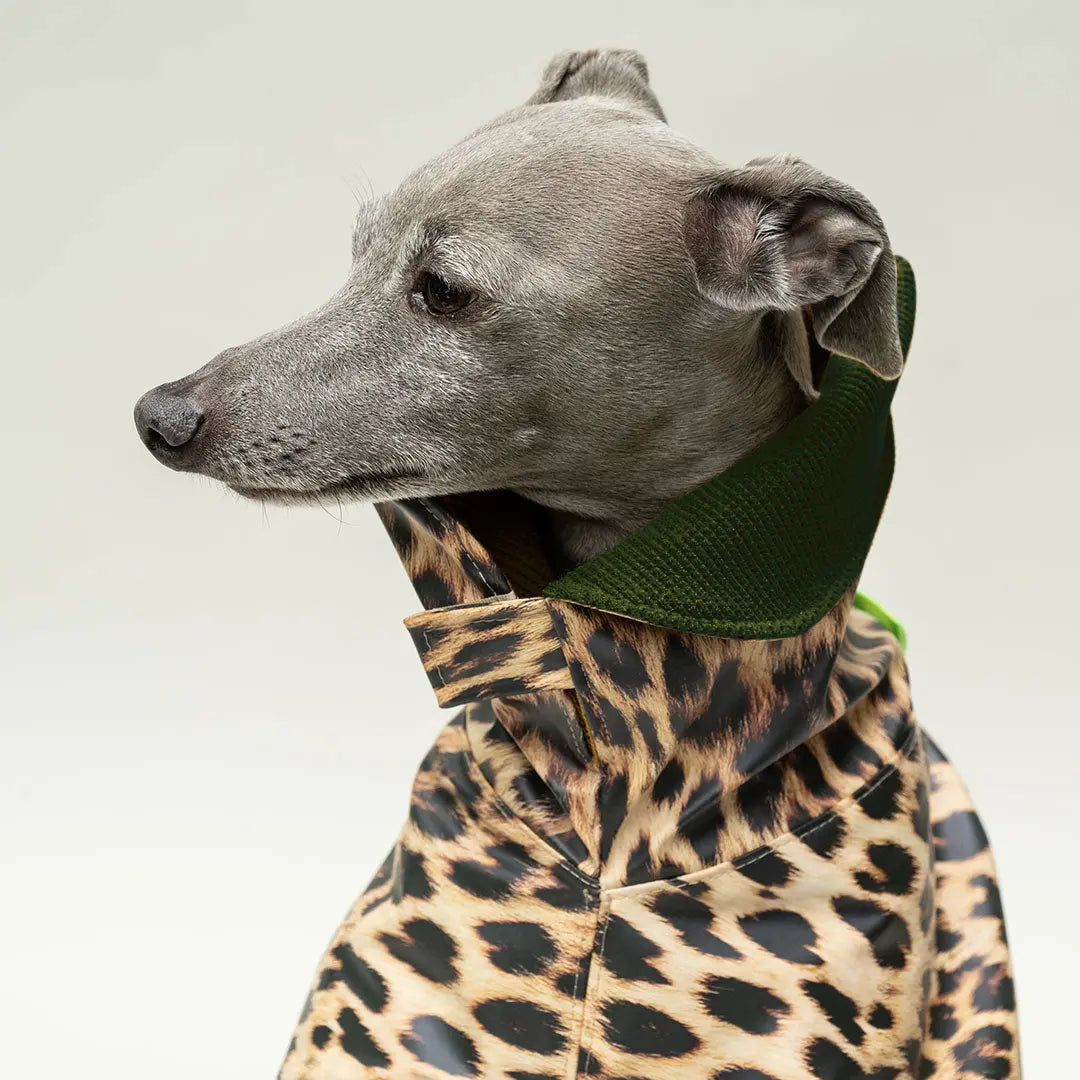 Wetterfester Regenmantel "Safe from Rain" Leo 4legs.de