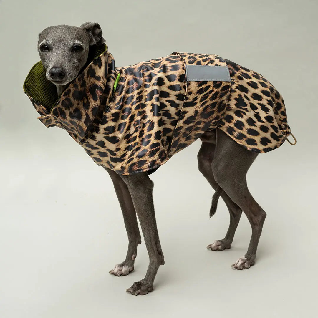 Wetterfester Regenmantel "Safe from Rain" Leo 4legs.de