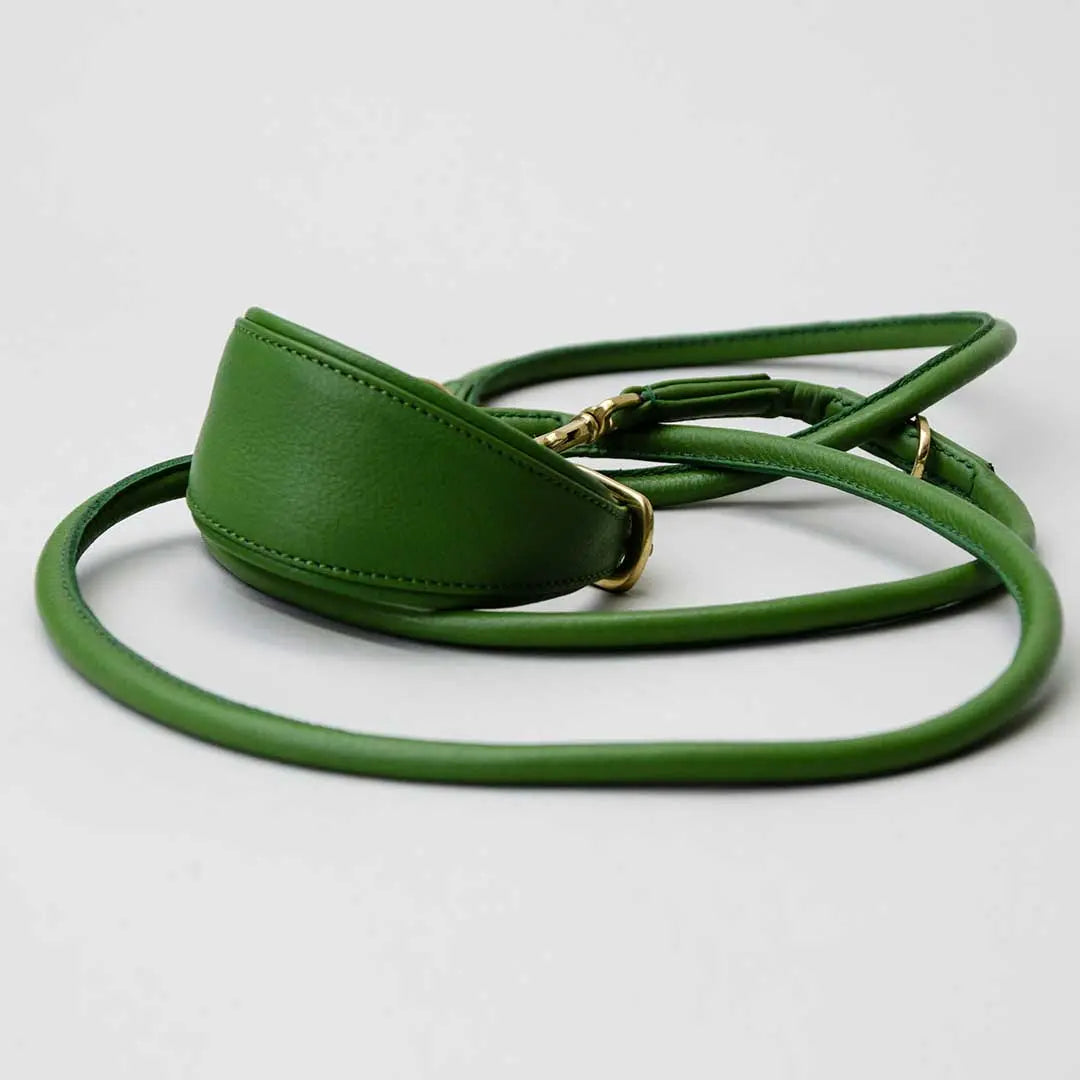 Windhund-Lederhalsband "Eden" - Green 4legs.de