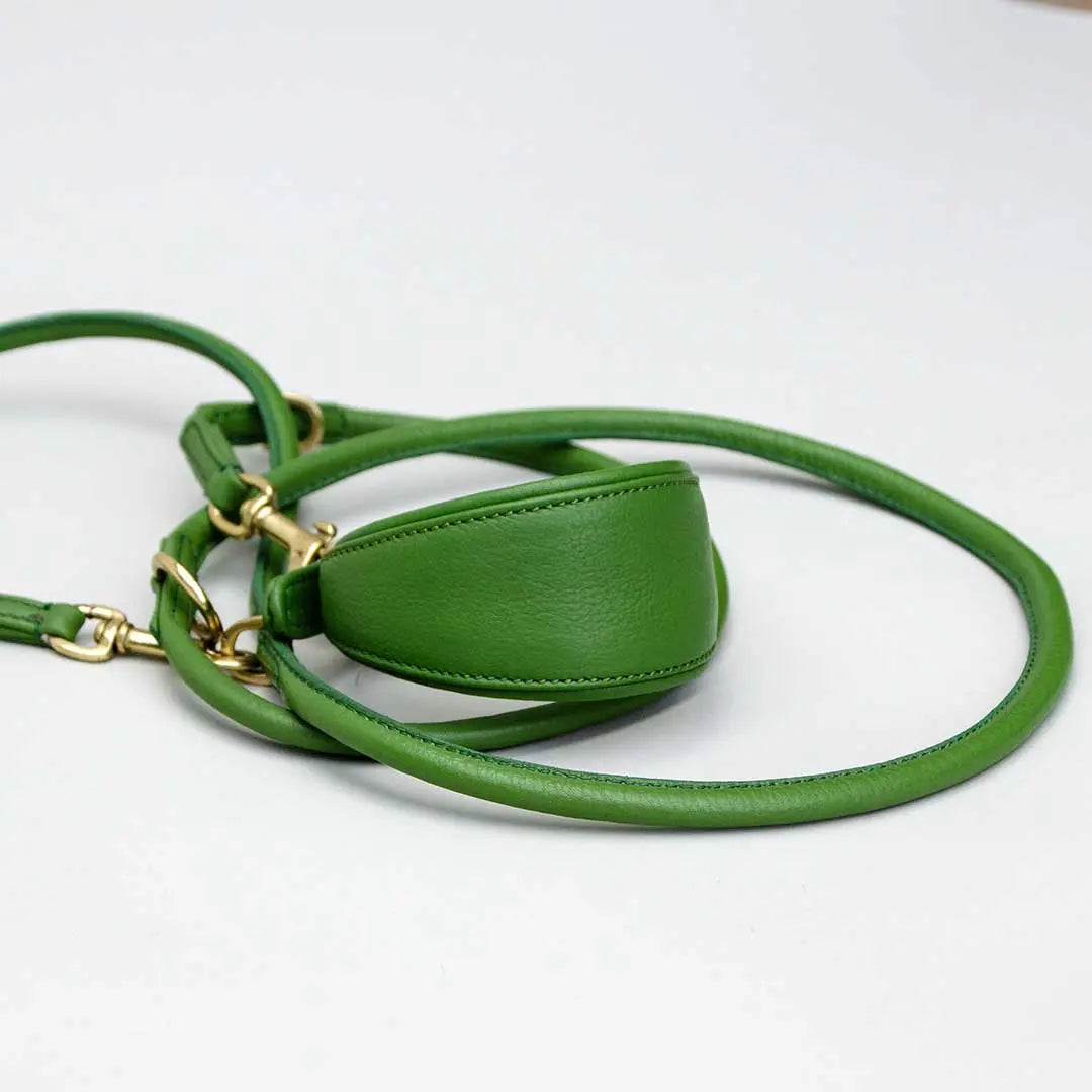 Windhund-Lederhalsband "Eden" - Green 4legs.de