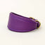 Greyhound leather collar 