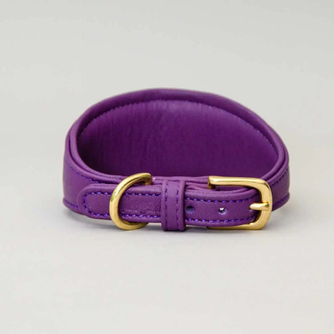 Windhund-Lederhalsband "Eden" - Lila 4legs.de