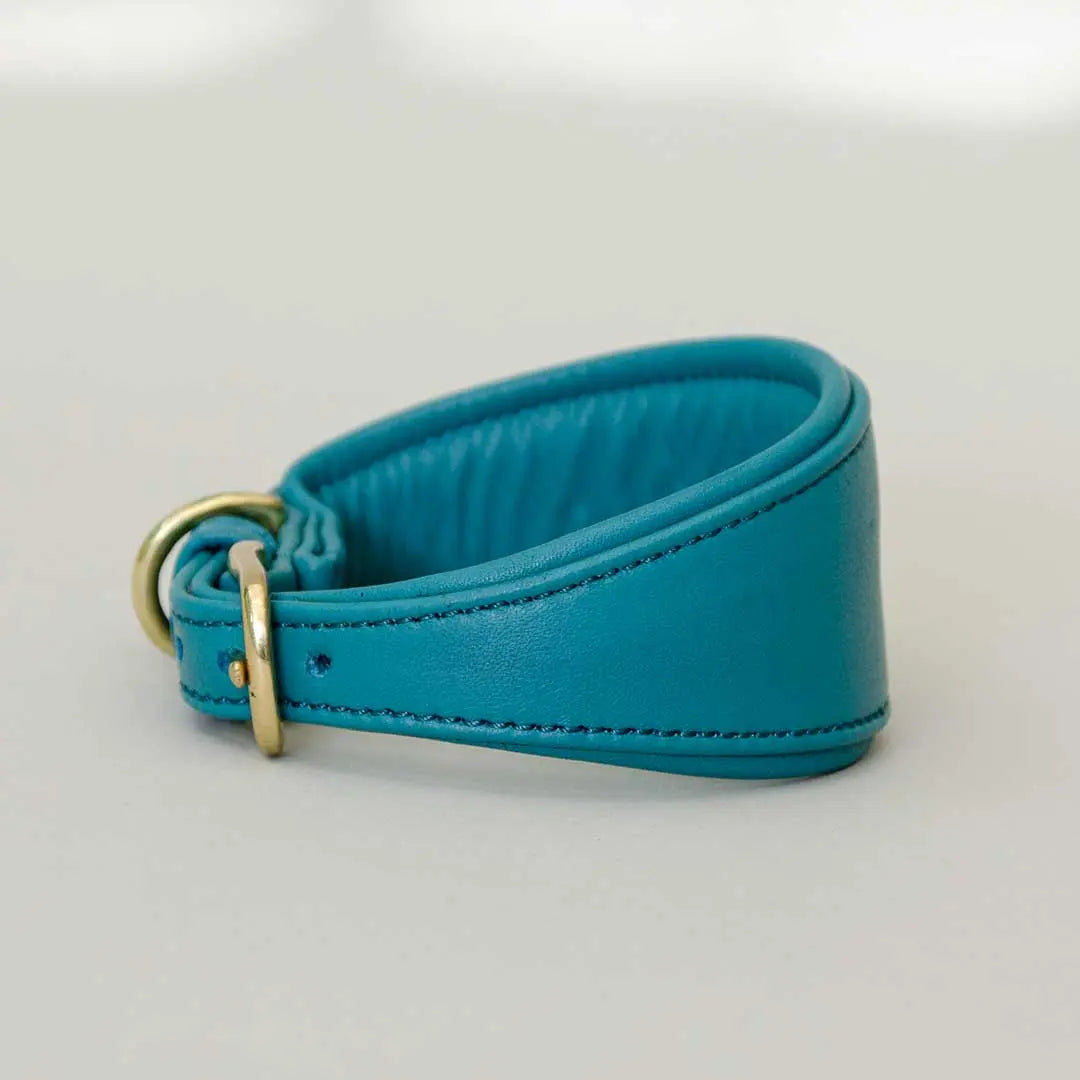 Windhund-Lederhalsband "Eden" - Ocean 4legs.de