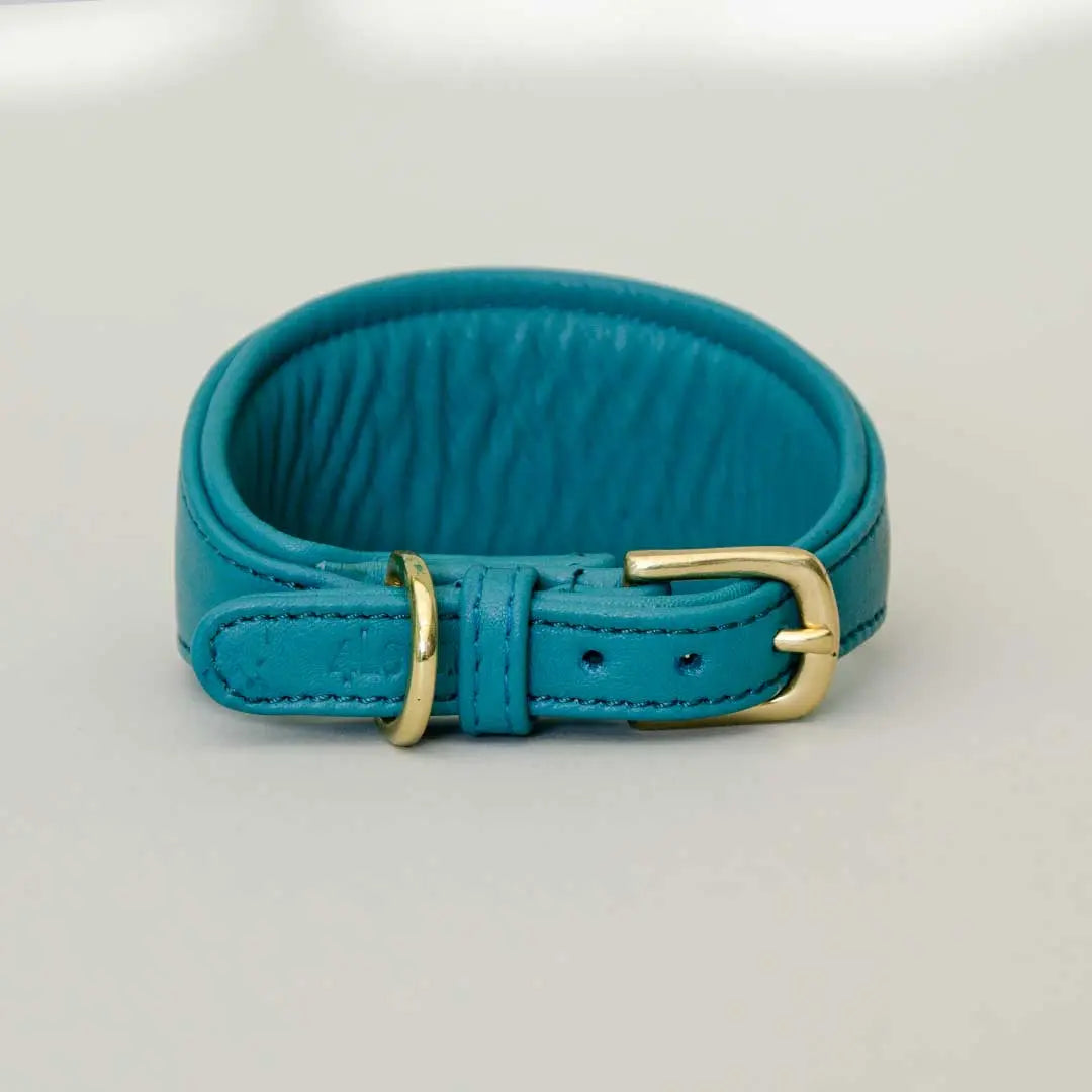 Windhund-Lederhalsband "Eden" - Ocean 4legs.de