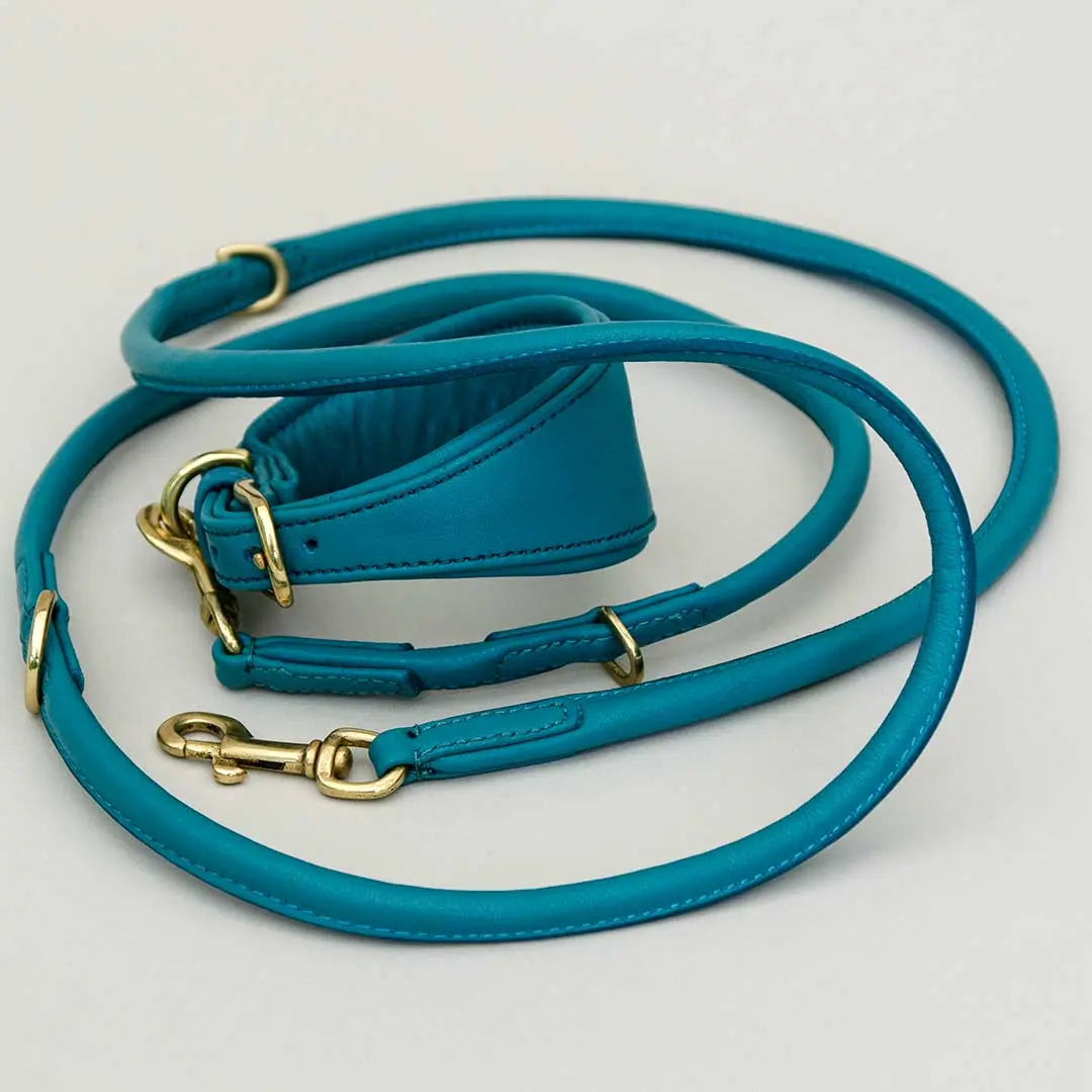 Windhund-Lederhalsband "Eden" - Ocean 4legs.de