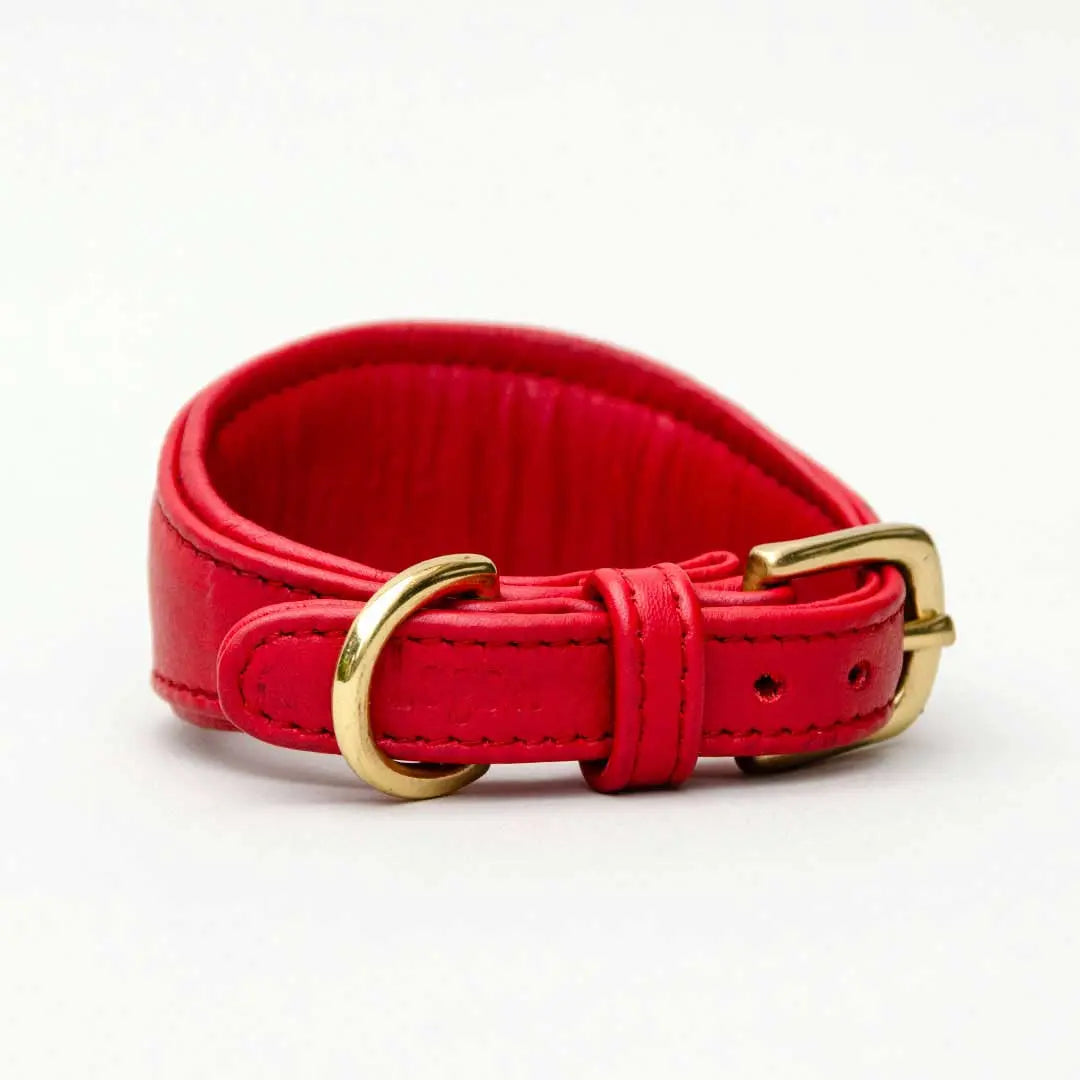 Windhund-Lederhalsband "Eden" - Red 4legs.de