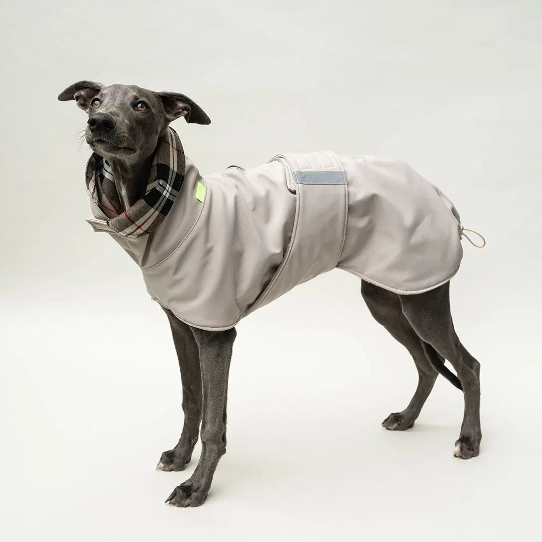 Wintermantel Clouseau 4legs.de