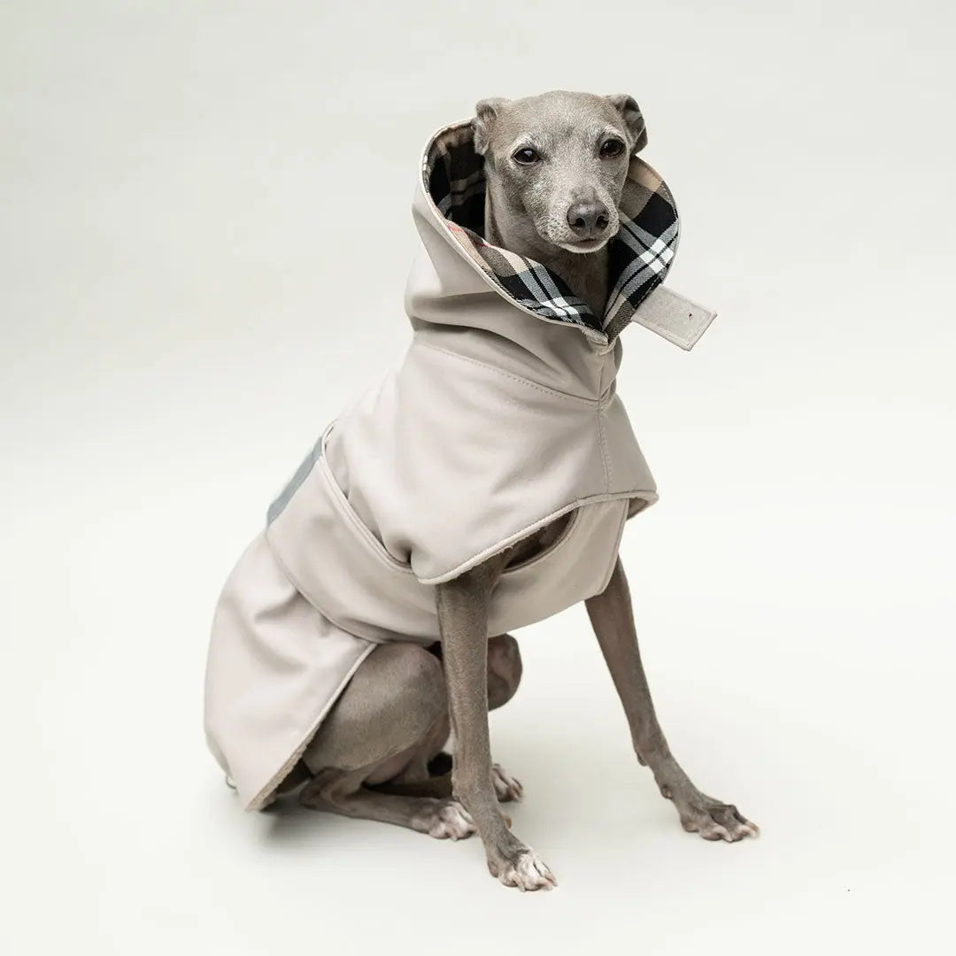 Wintermantel Clouseau 4legs.de