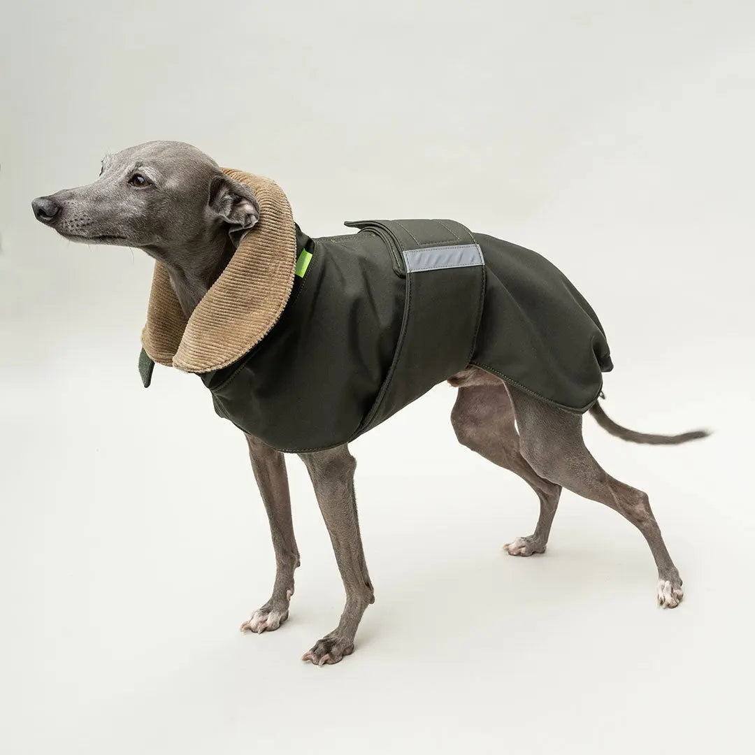 Wintermantel Lancaster 4legs.de