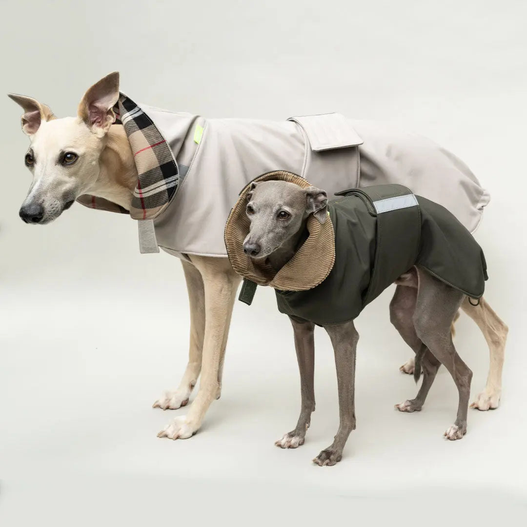 Wintermantel Lancaster 4legs.de