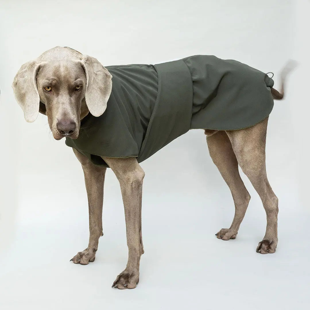 Wintermantel Lancaster 4legs.de