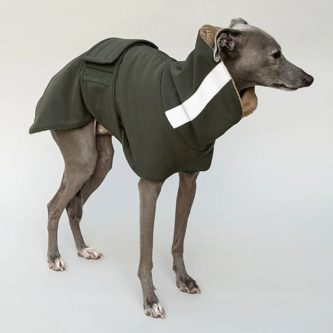 Wintermantel Lancaster 4legs.de