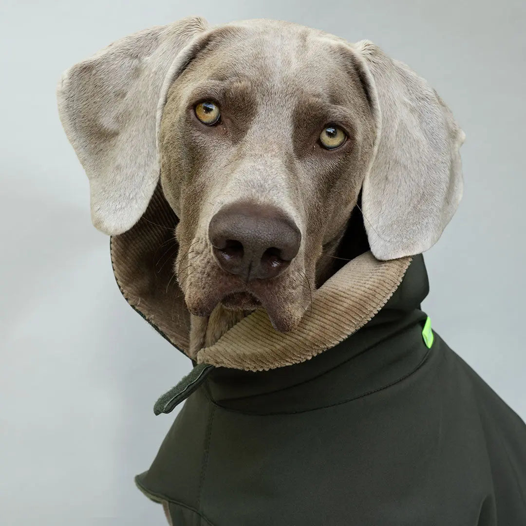 Wintermantel Lancaster 4legs.de